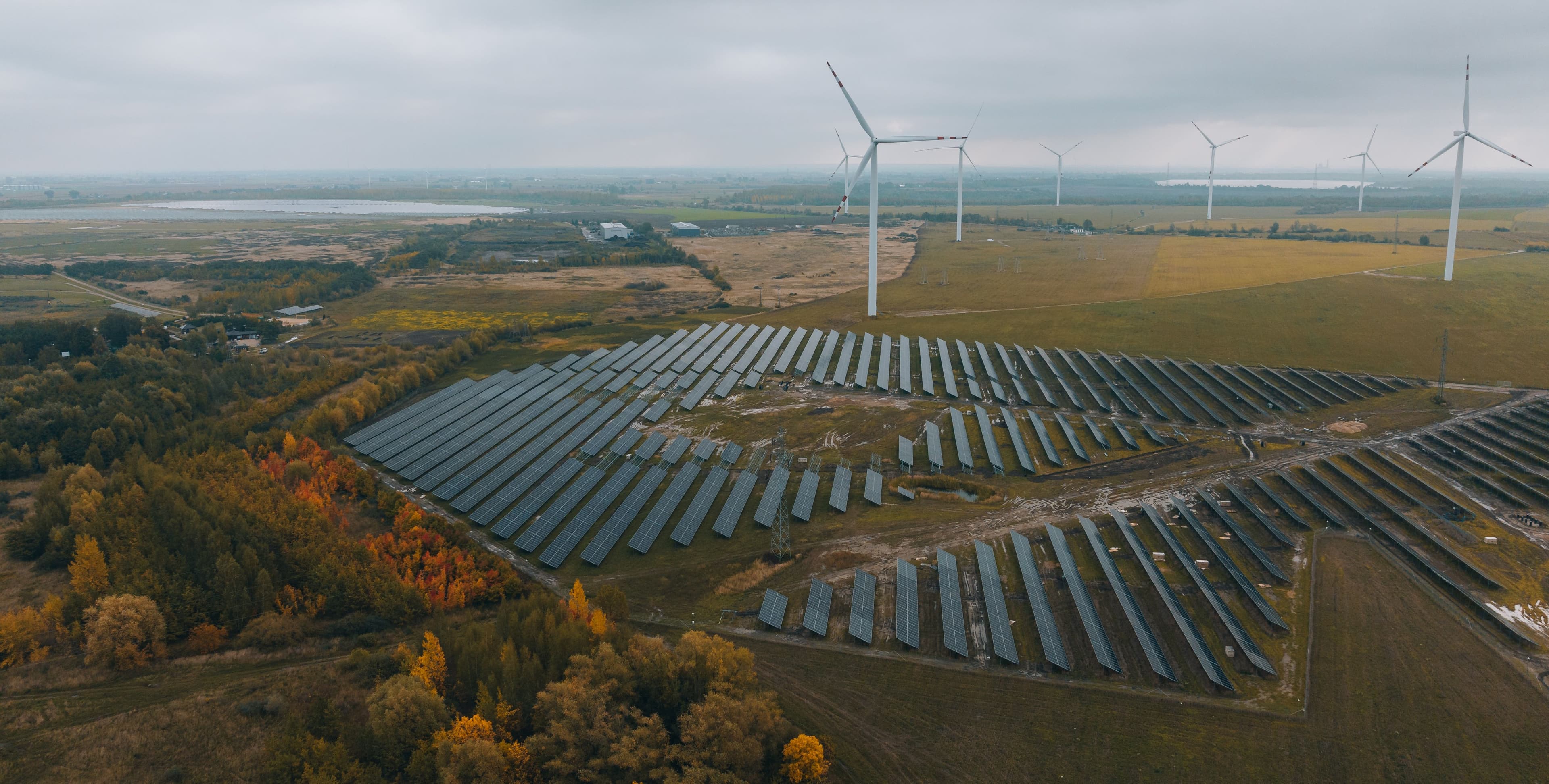 Genowefa-article-main-image