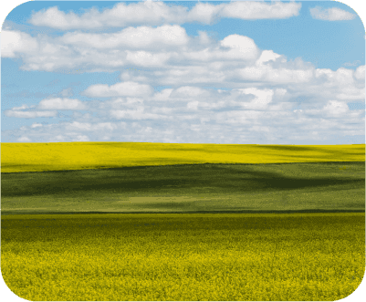 Dzierżawa ziemi-image